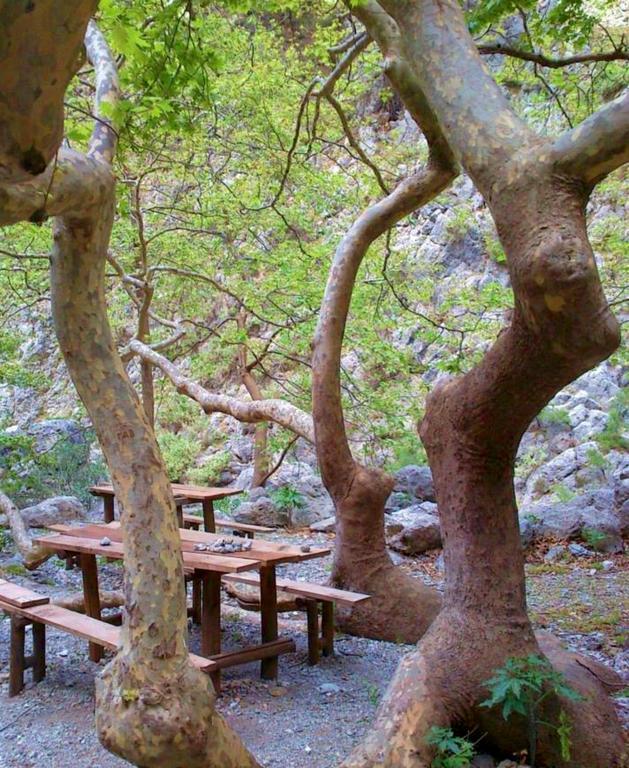 Porofarago Daire Epanokhórion Dış mekan fotoğraf